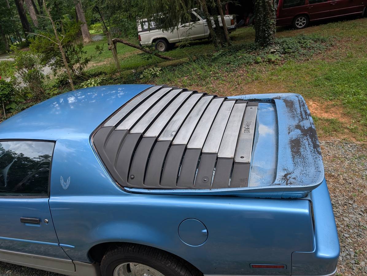 Pontiac-firebird-trans-am-ws6-1988-blue-12