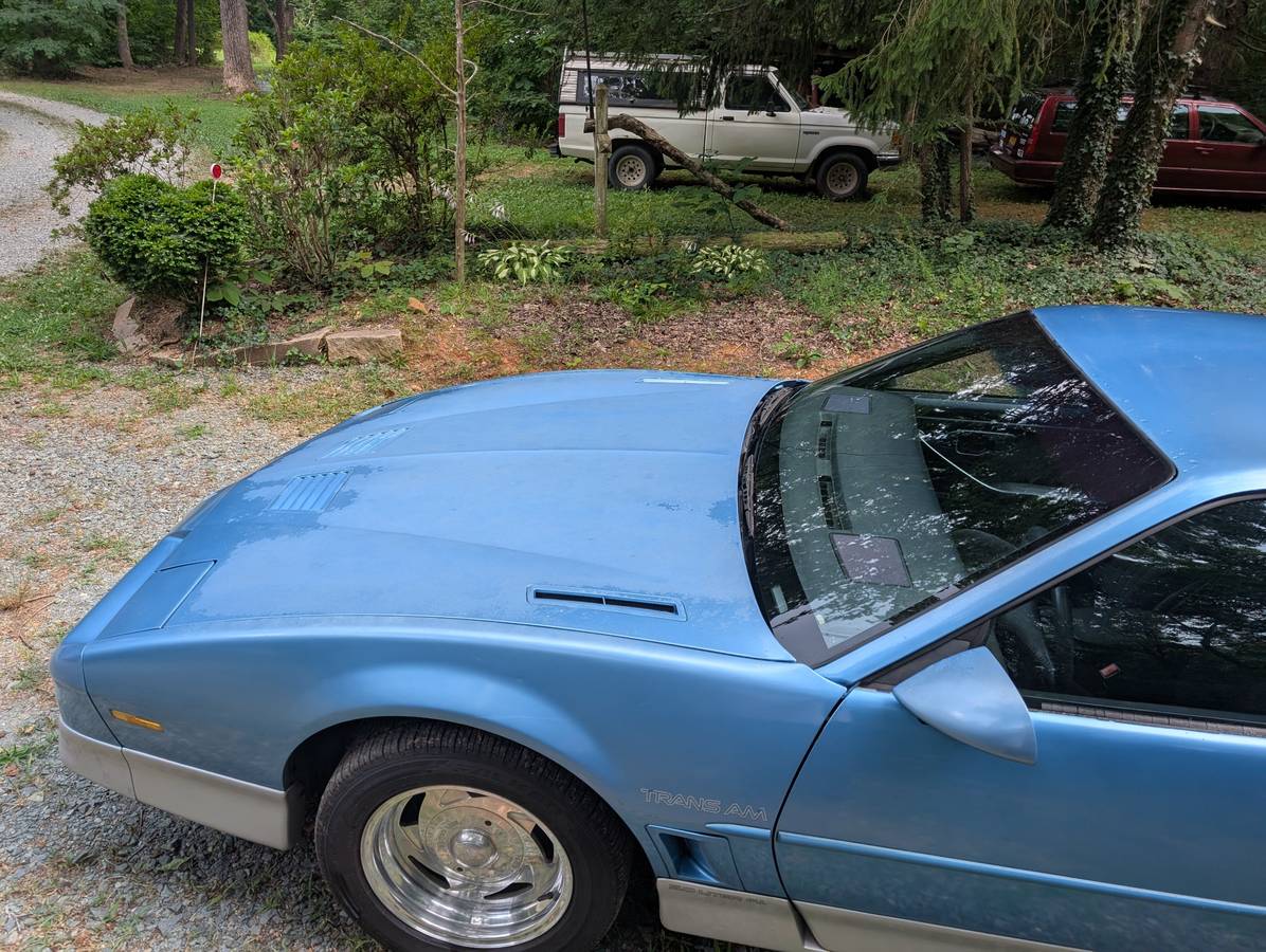 Pontiac-firebird-trans-am-ws6-1988-blue-14