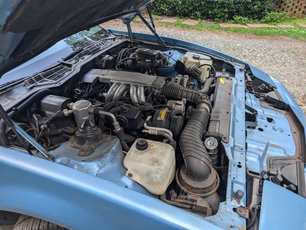 Pontiac-firebird-trans-am-ws6-1988-blue-3