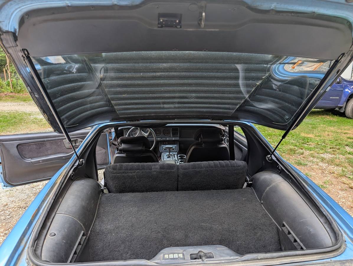 Pontiac-firebird-trans-am-ws6-1988-blue-9