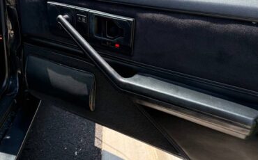 Pontiac-firebird-trans-am-ws6-1989-black-10