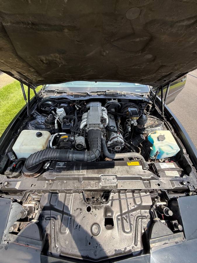 Pontiac-firebird-trans-am-ws6-1989-black-2