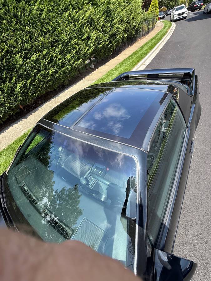 Pontiac-firebird-trans-am-ws6-1989-black-5
