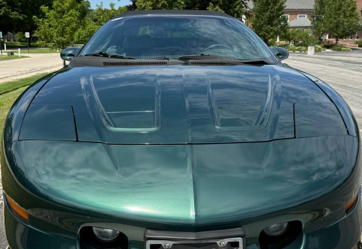 Pontiac-firebird-trans-am-ws6-1995-green