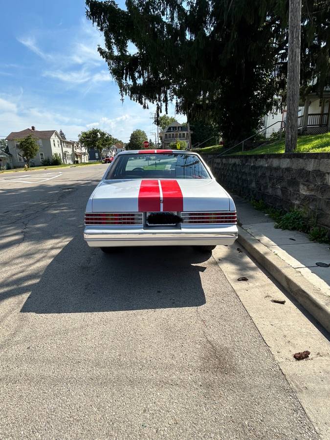 Pontiac-lemans-1979-custom-8