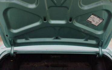 Pontiac-lemans-convertible-1965-10