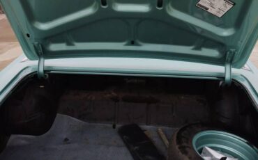 Pontiac-lemans-convertible-1965-8