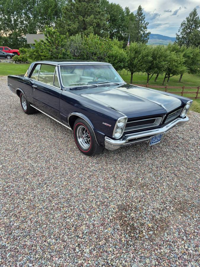 Pontiac-lemans-diesel-1965-blue-2