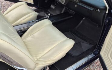 Pontiac-lemans-diesel-1965-blue-7