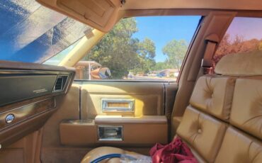 Pontiac-parisienne-1985-7