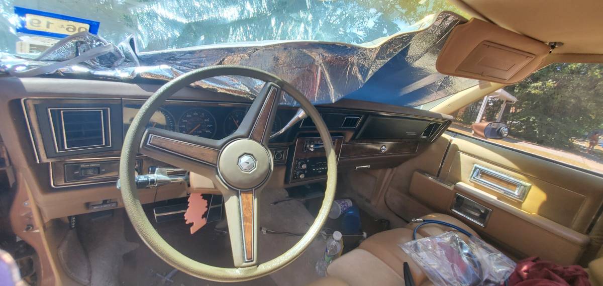 Pontiac-parisienne-1985-9