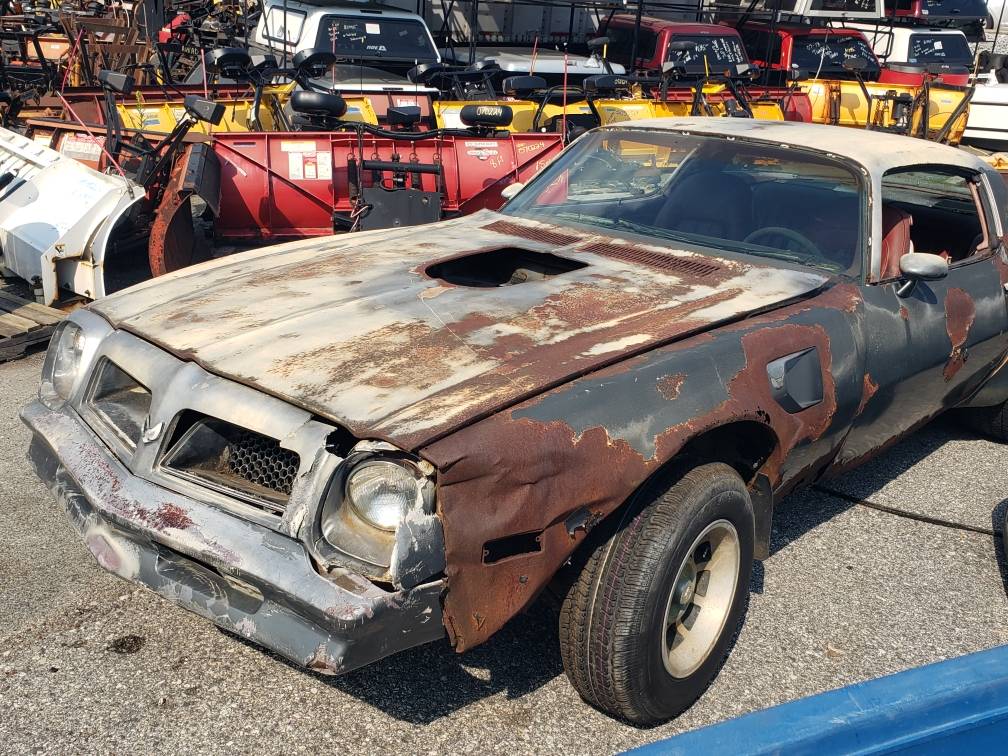Pontiac-trans-am-1976-grey-1