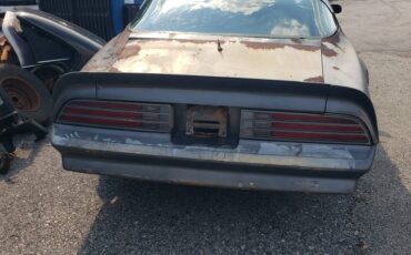 Pontiac-trans-am-1976-grey-10