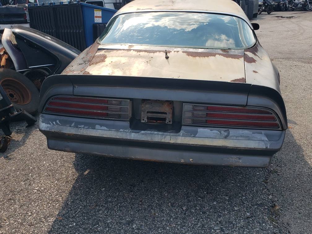 Pontiac-trans-am-1976-grey-10