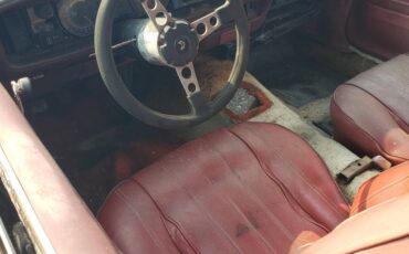 Pontiac-trans-am-1976-grey-2