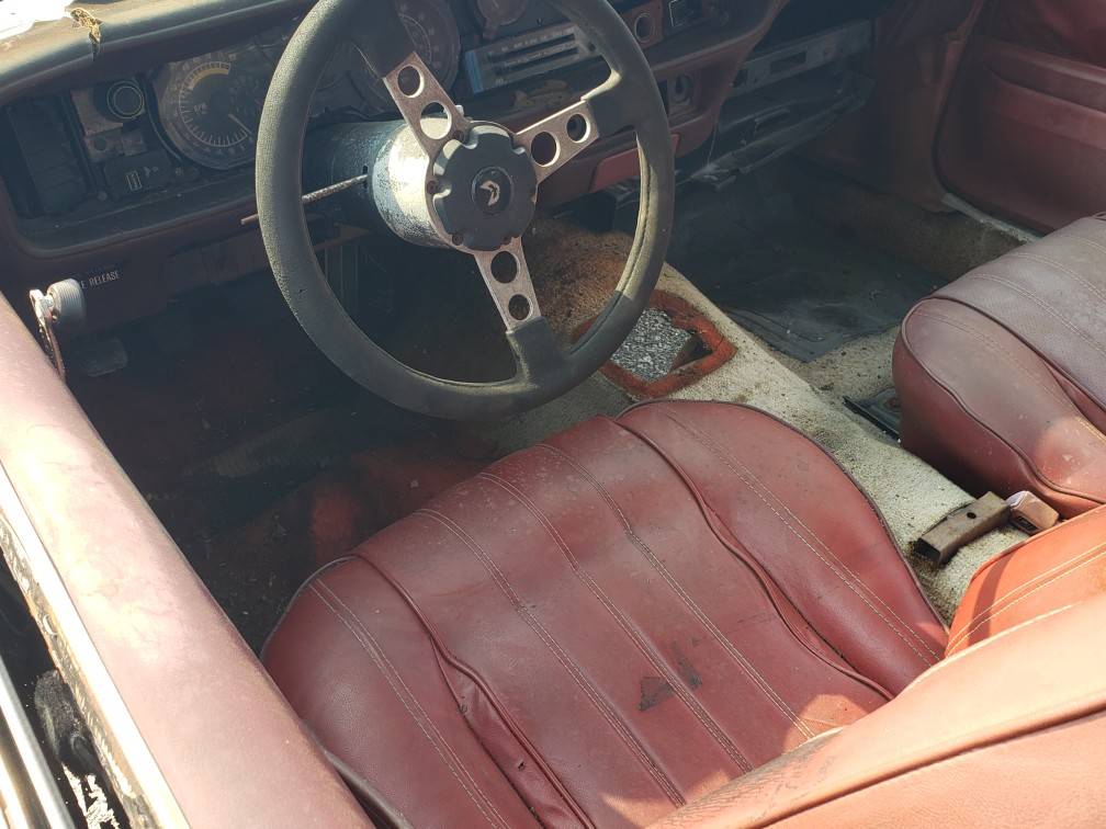 Pontiac-trans-am-1976-grey-2