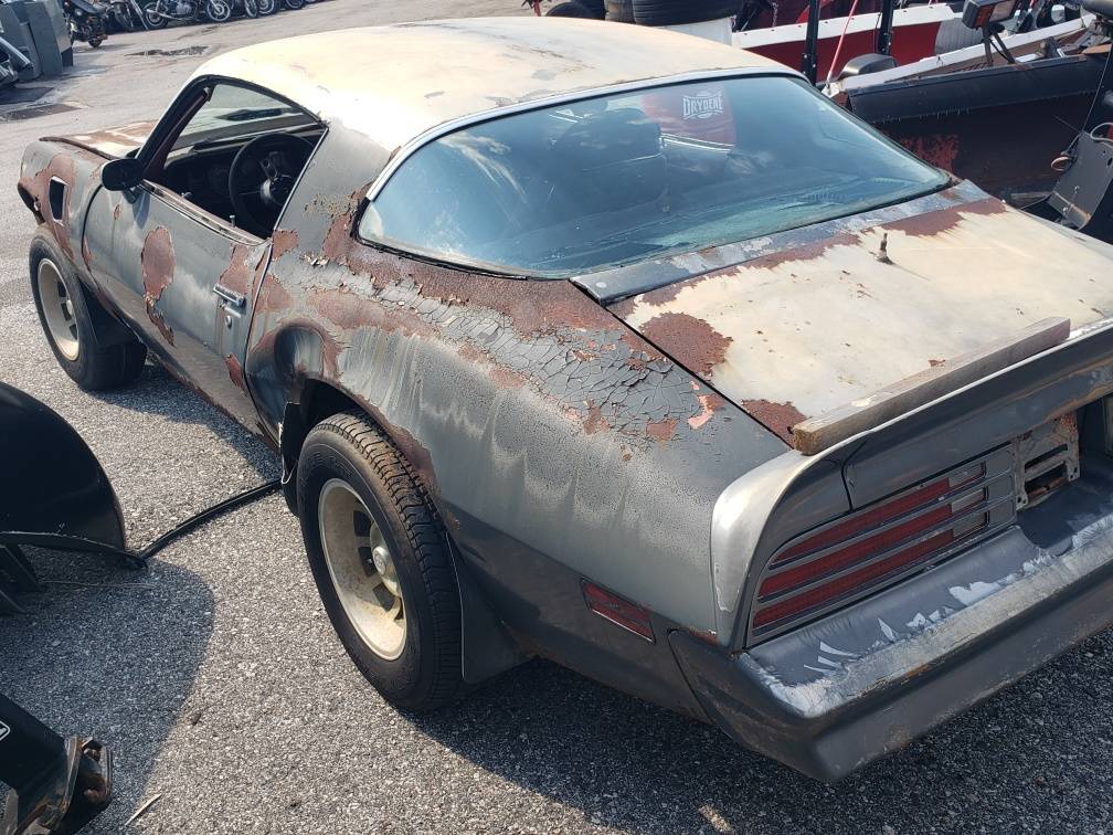 Pontiac-trans-am-1976-grey-3