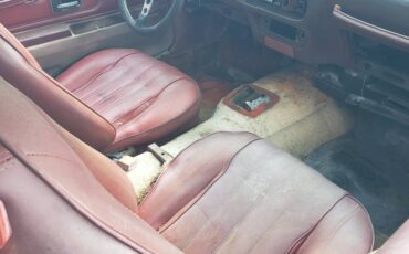 Pontiac-trans-am-1976-grey-5