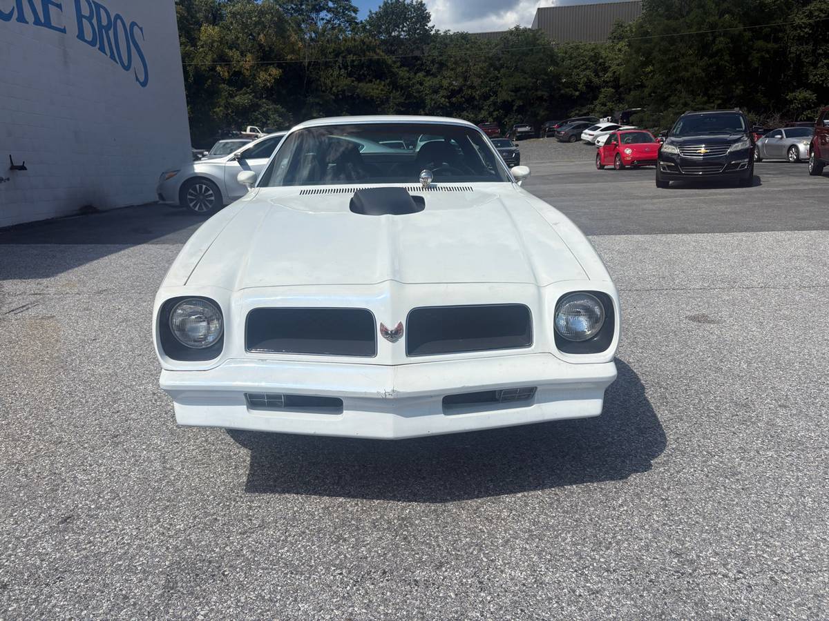 Pontiac-trans-am-1976-white-1