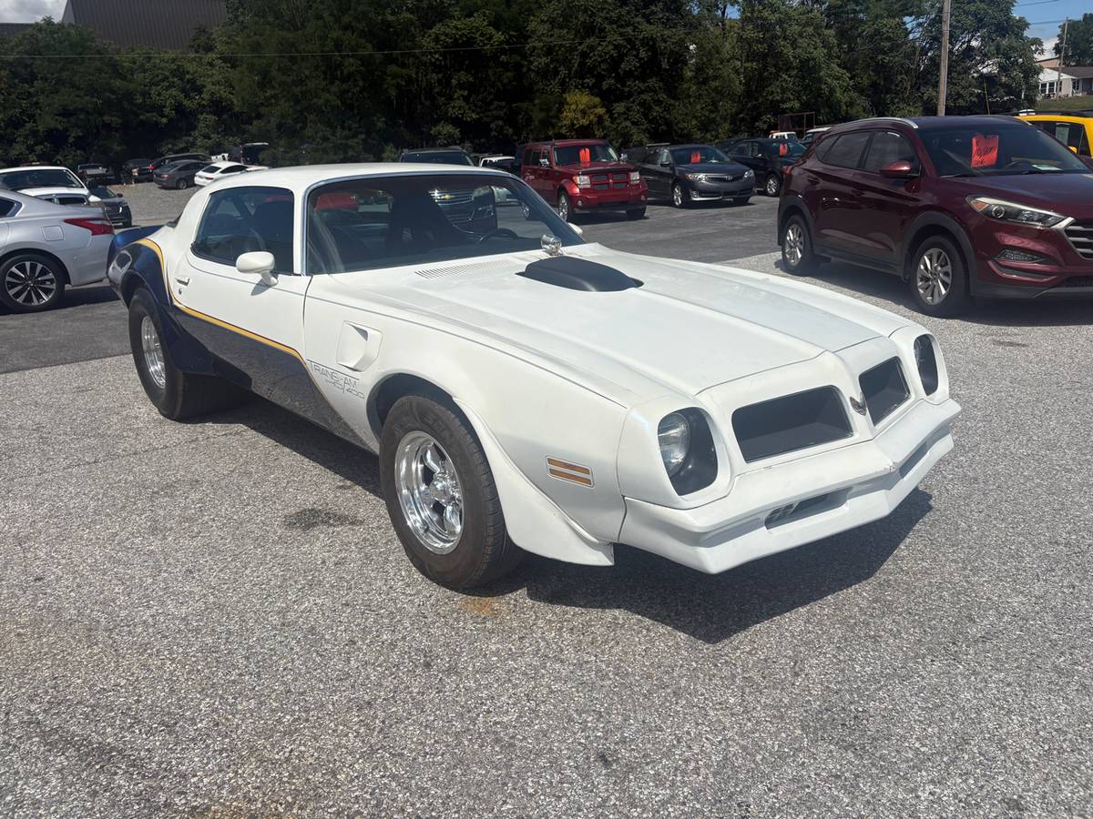 Pontiac-trans-am-1976-white-2