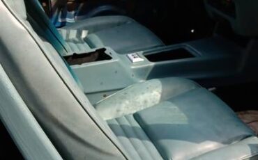 Pontiac-trans-am-1978-blue-3