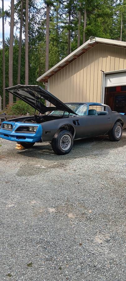 Pontiac-trans-am-1978-blue