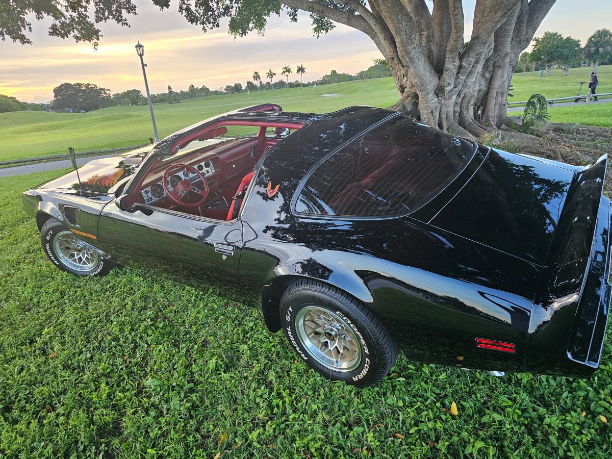 Pontiac-trans-am-1979-1