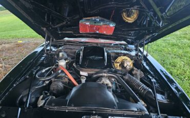 Pontiac-trans-am-1979-10