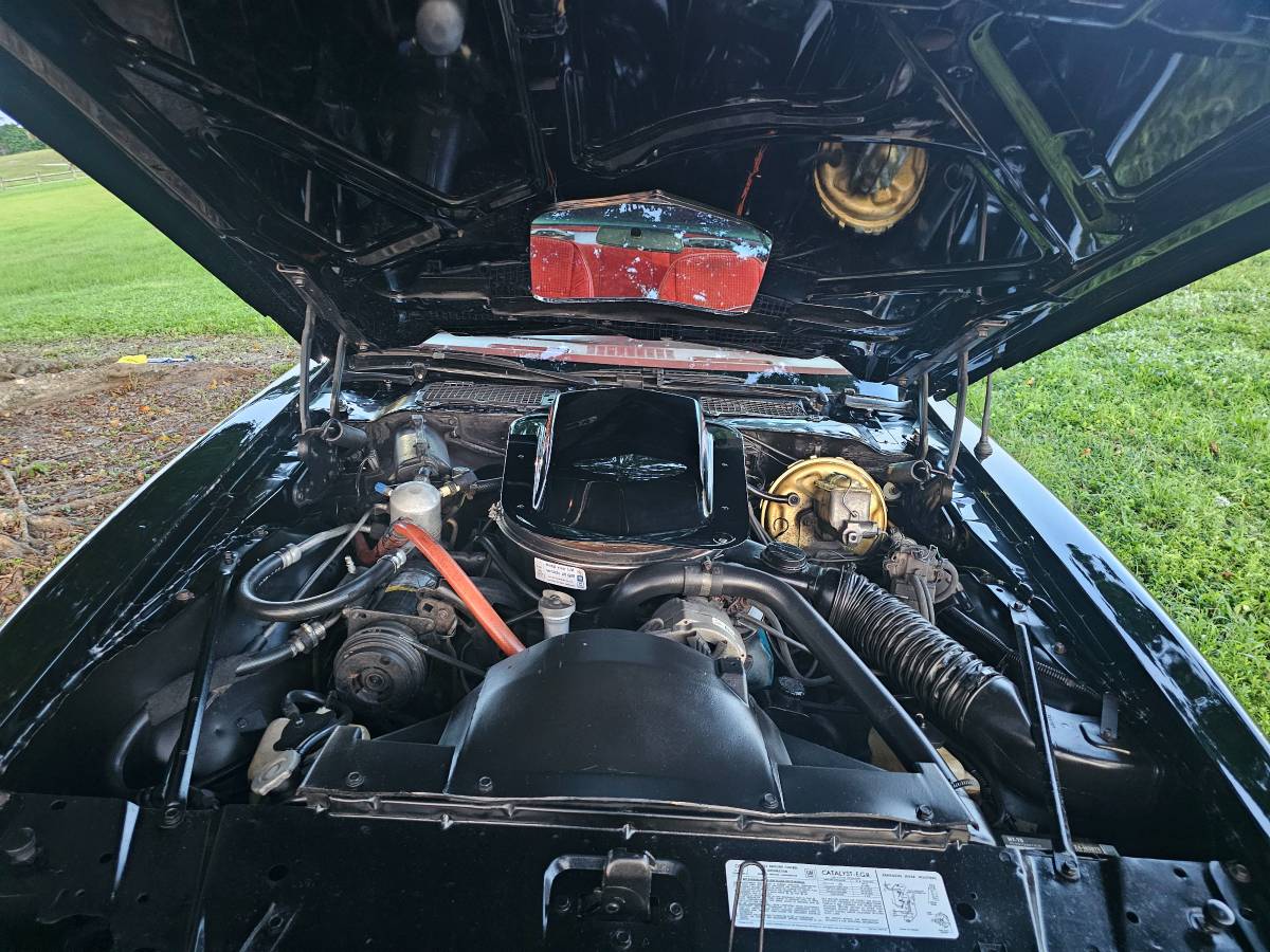 Pontiac-trans-am-1979-10