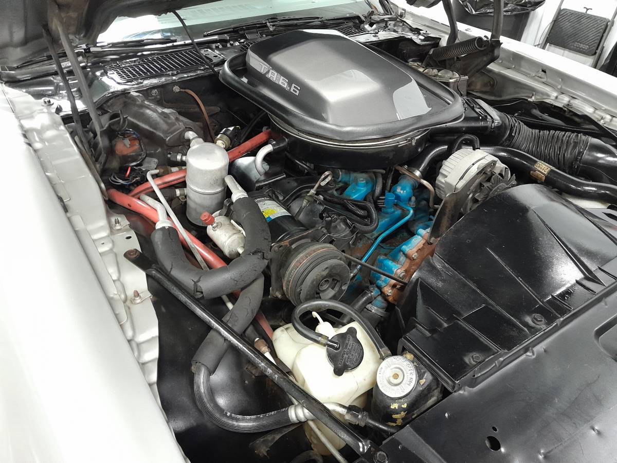 Pontiac-trans-am-1979-11