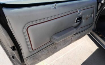 Pontiac-trans-am-1979-20