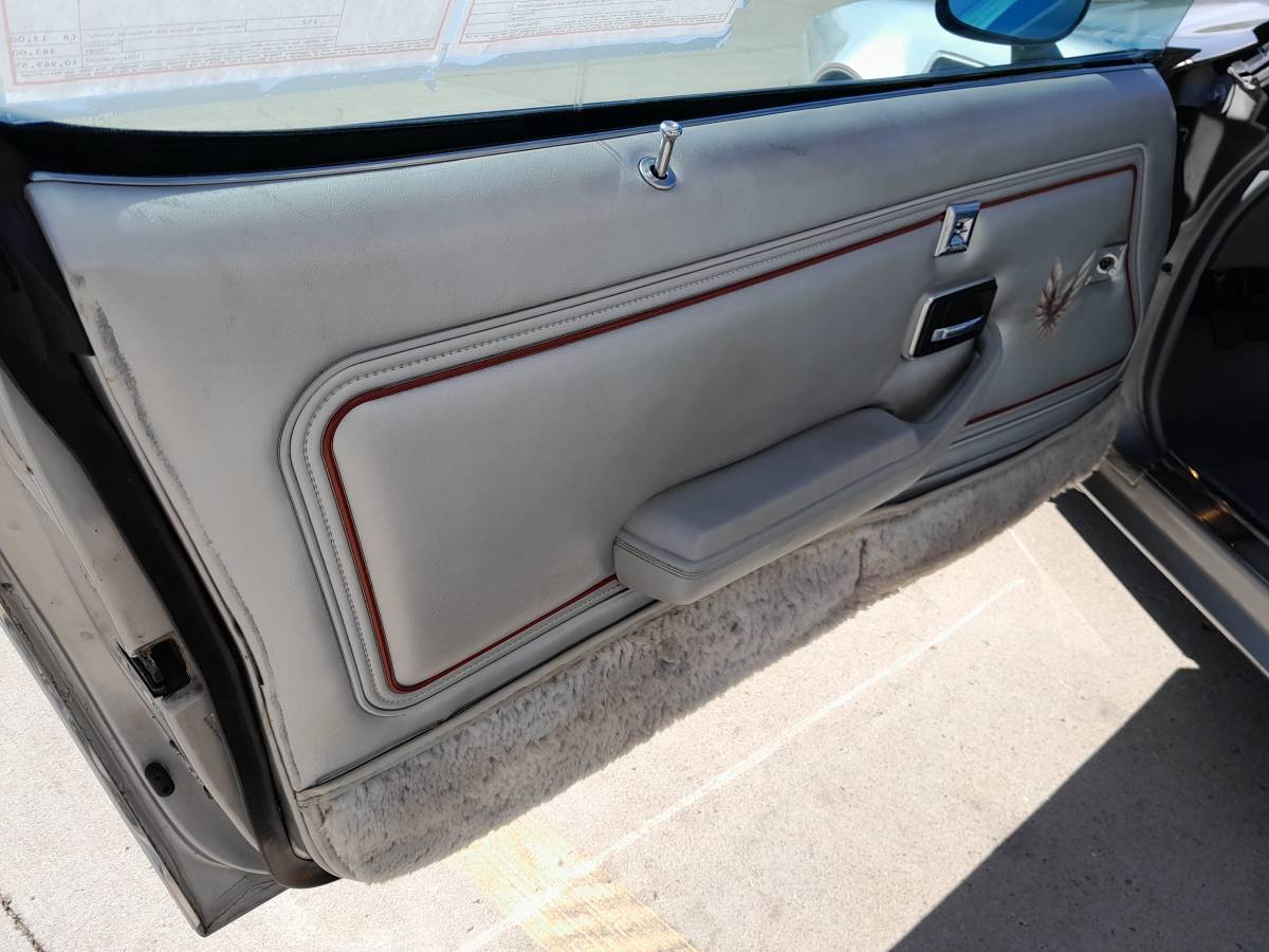 Pontiac-trans-am-1979-20