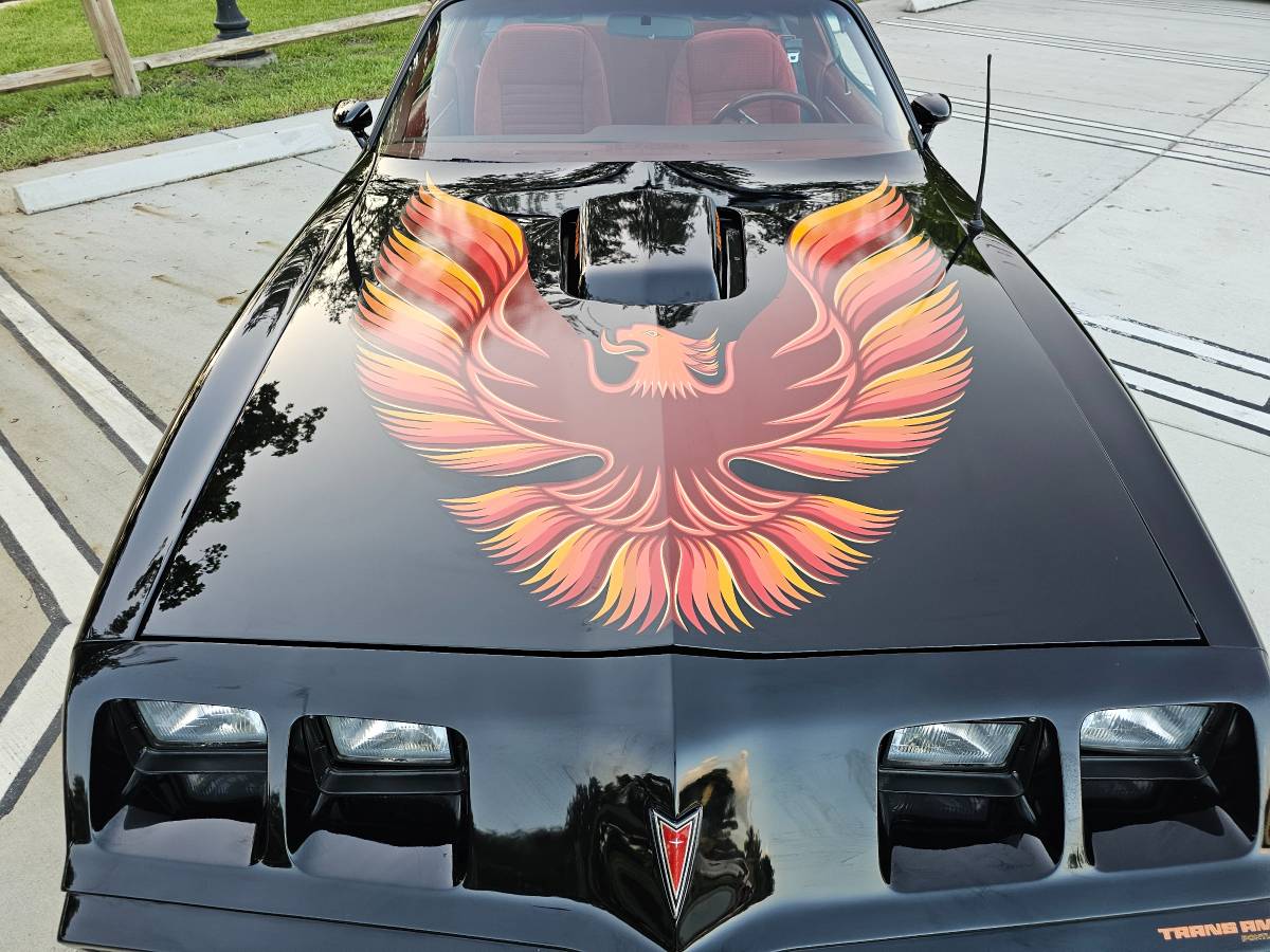 Pontiac-trans-am-1979-6