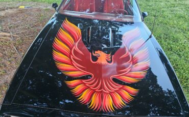 Pontiac-trans-am-1979-6