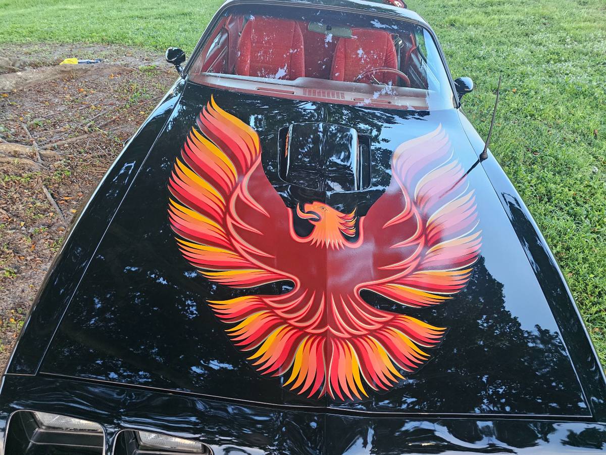 Pontiac-trans-am-1979-6