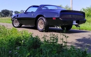 Pontiac-trans-am-1979-black-1
