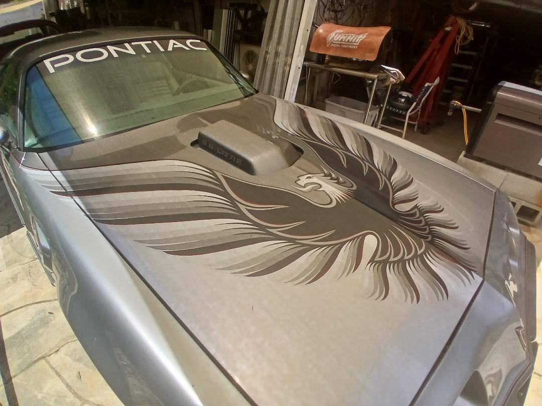 Pontiac-trans-am-1979-silver-18