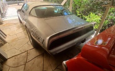 Pontiac-trans-am-1979-silver-24