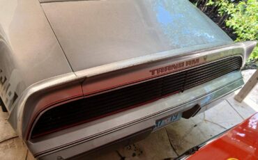 Pontiac-trans-am-1979-silver-33
