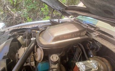 Pontiac-trans-am-1979-silver-39