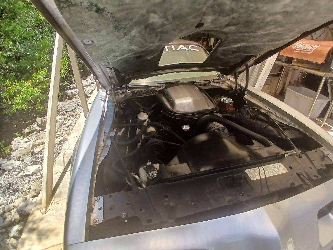 Pontiac-trans-am-1979-silver-40