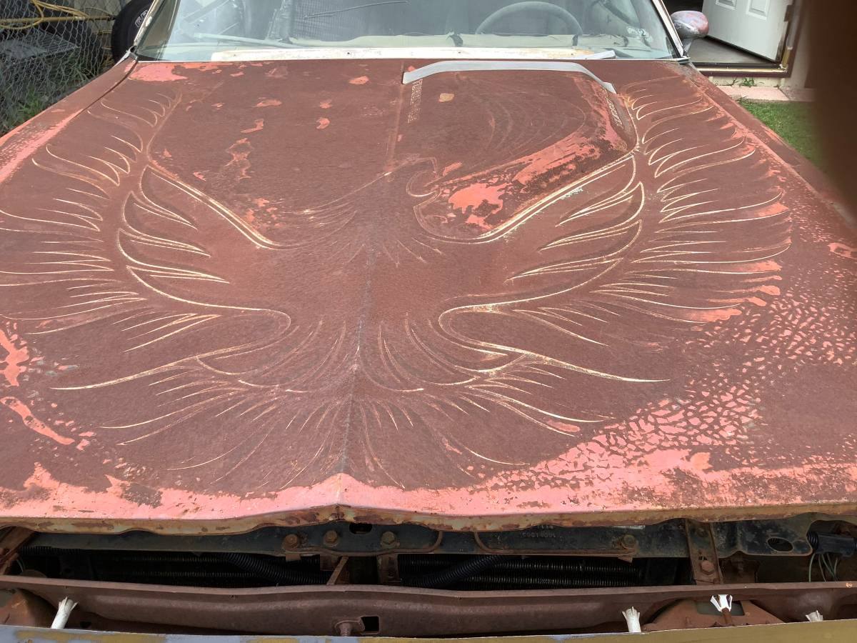 Pontiac-trans-am-1980-silver-5