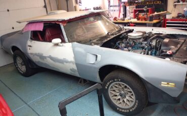 Pontiac-trans-am-1981-3