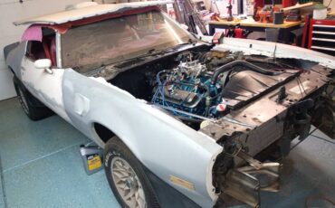 Pontiac-trans-am-1981-5