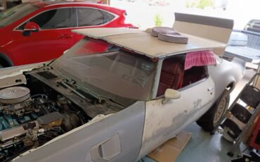 Pontiac-trans-am-1981-9