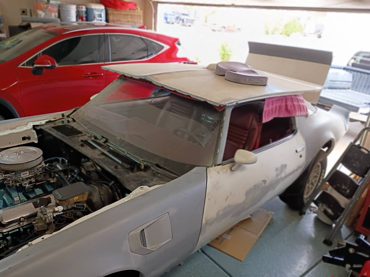 Pontiac-trans-am-1981-9