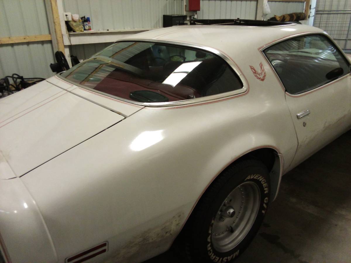 Pontiac-trans-am-1981-white-3