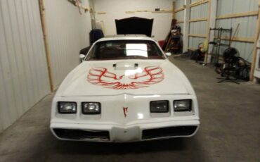 Pontiac-trans-am-1981-white