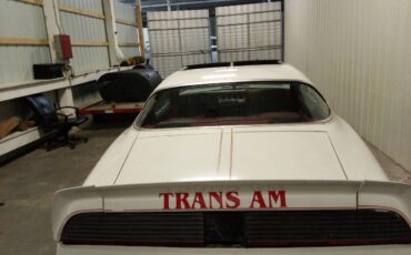 Pontiac-trans-am-1981-white-4