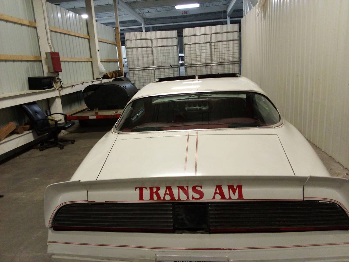 Pontiac-trans-am-1981-white-4